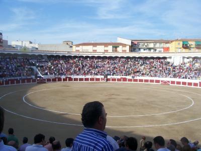20080902194846-linares-2908-246.jpg
