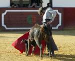 20090302180338-morantent.jpg
