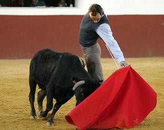 20091113135959-elcidcampo1.jpg